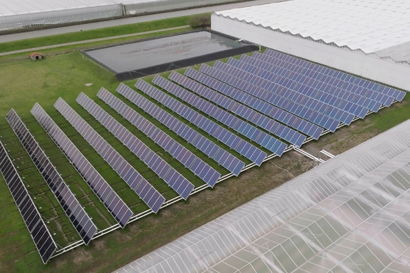 Veld van zonnecollectoren in een weiland, dat gebruikt wordt voor de tuinbouw