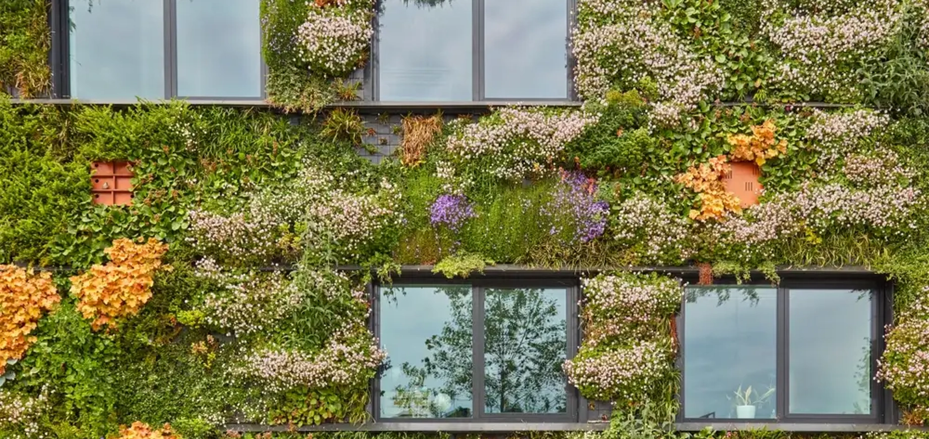 Zijkant van woning met groene beplanting en ramen